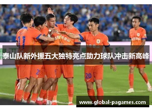 泰山队新外援五大独特亮点助力球队冲击新高峰