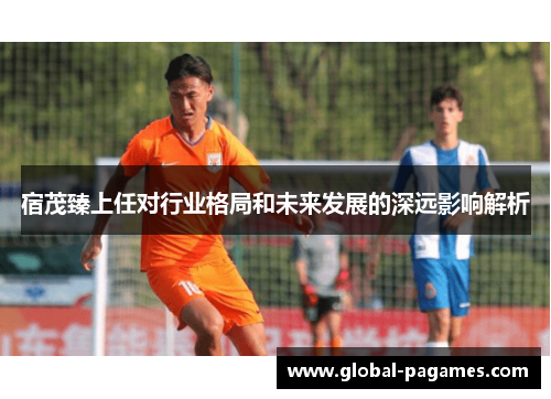 宿茂臻上任对行业格局和未来发展的深远影响解析