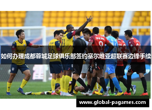 如何办理成都蓉城足球俱乐部签约塞尔维亚超联赛边锋手续