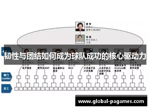 韧性与团结如何成为球队成功的核心驱动力