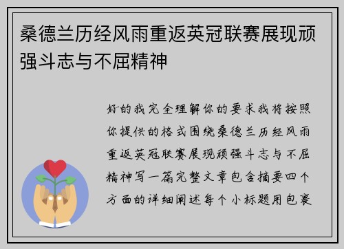 桑德兰历经风雨重返英冠联赛展现顽强斗志与不屈精神 桑德兰历经风雨重返英冠联赛展现顽强斗志与不屈精神